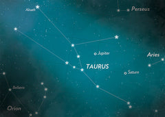 Taurus Zodiac Constellation Ear Climbers