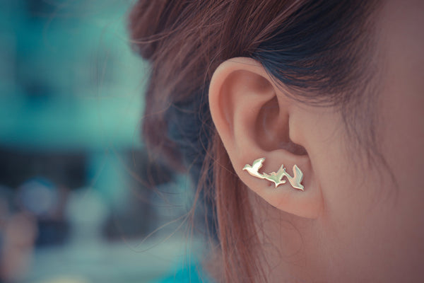 Three Birds Ear Climbers